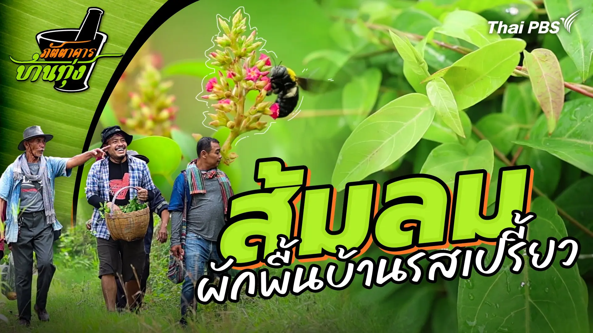 ส้มลม