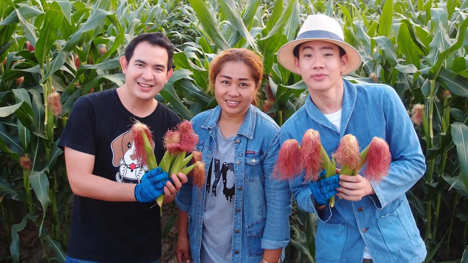 ข้าวโพดอ่อน
