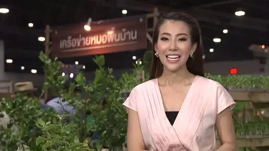 สวนผักคนเมือง