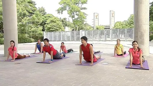 โยคะเบื้องต้น