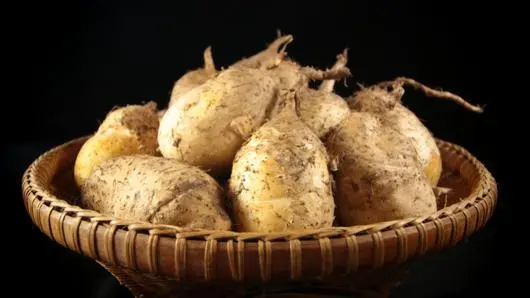 มันนก
