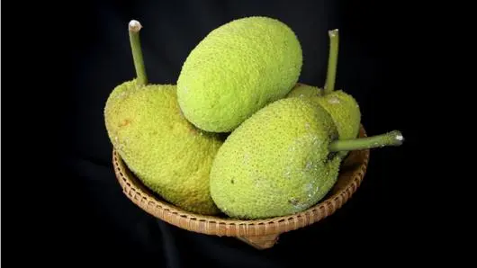 สาเก