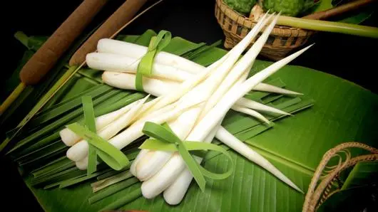 ธูปฤาษี