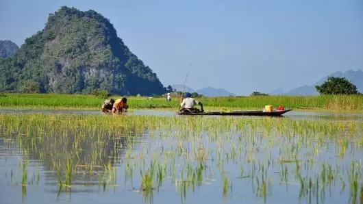 พันธสัญญาบนลานเต้นรำ