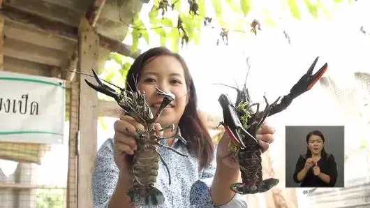 ความคิดเห็นต่อรายการ รู้สู้ภัยพิบัติ