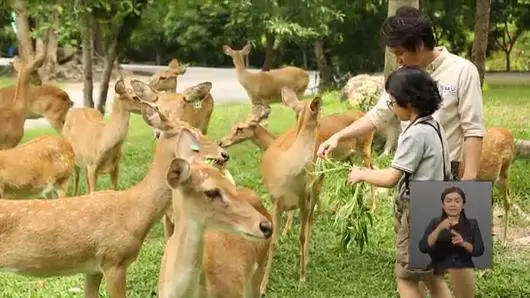 ความคิดเห็นต่อรายการ Animals Speak