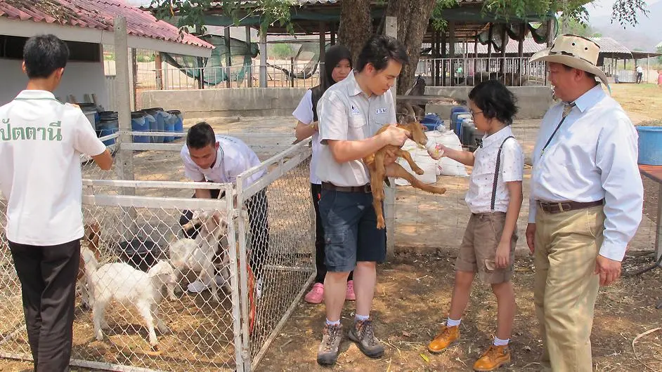 วิชาแพะ