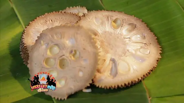 ​ชม ชิม ถิ่นเก่า