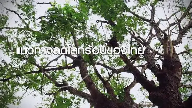 แนวทางลดโลกร้อนของไทย