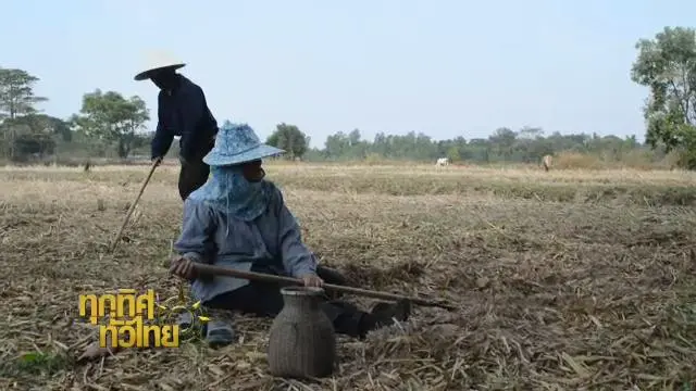 ทุกทิศทั่วไทย