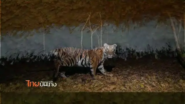 ประเด็นข่าว (16 ต.ค. 58)