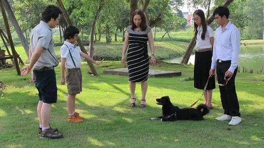 พูดจาภาษา “เจ้าตูบ”