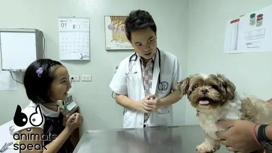 เปิดห้องทำงานของสัตวแพทย์