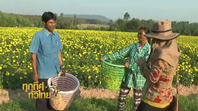 ทุกทิศทั่วไทย