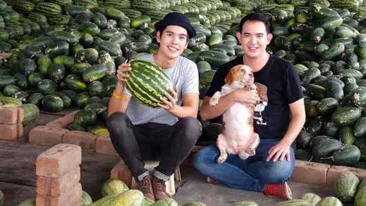 แตงโม...ลูกโต๊โต
