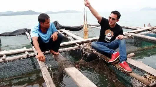 กุ้งมังกร
