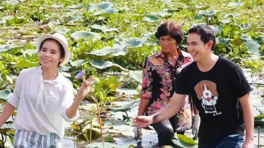 อาหารหลากหลายจากราชินีไม้น้ำ