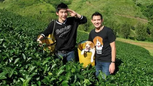 ปรุงเมนูจากใบชากับ ดีเจดอส