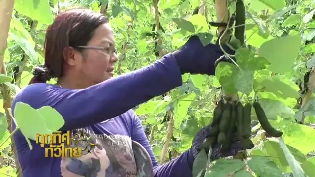 ประเด็นข่าว (26 ก.พ. 59)