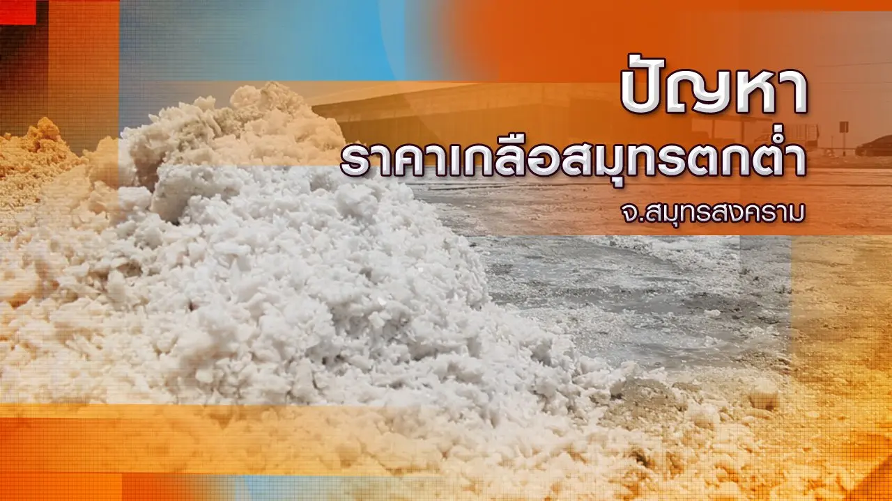 ปัญหาราคาเกลือสมุทรตกต่ำ จ.สมุทรสงคราม