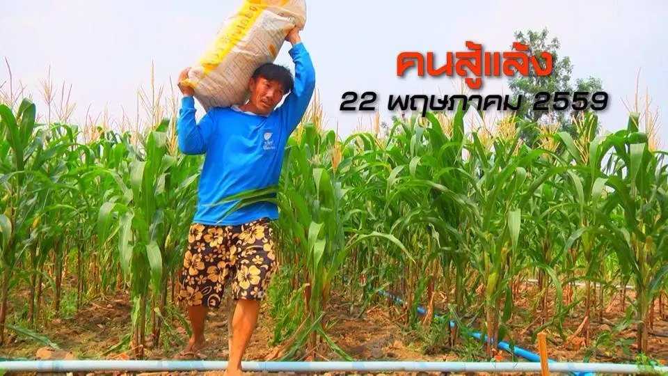 คนสู้แล้ง