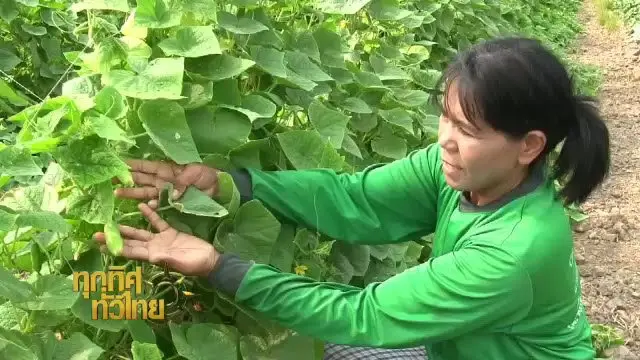 ประเด็นข่าว (18 พ.ค. 59)