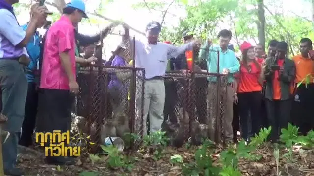 ประเด็นข่าว (24 พ.ค. 59)