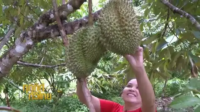 ประเด็นข่าว (25 พ.ค. 59)