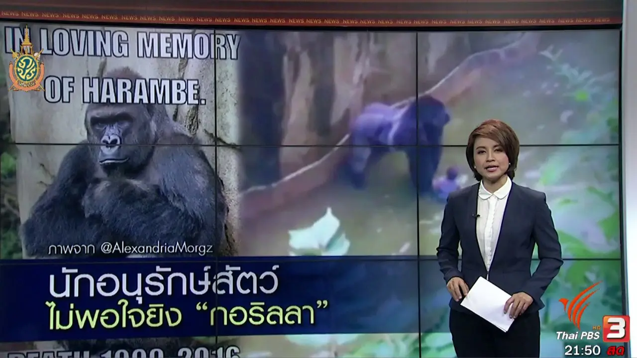 ประเด็นข่าว (30 พ.ค. 59)
