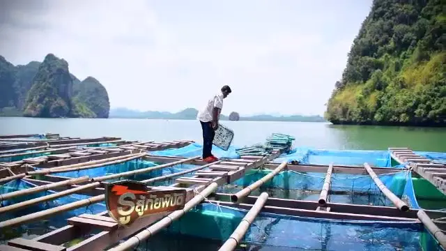 โลกร้อนกระทบประมงชายฝั่ง