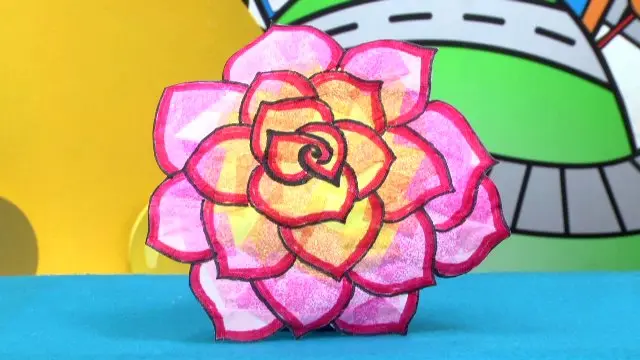 ​ดอกกุหลาบสีสวย