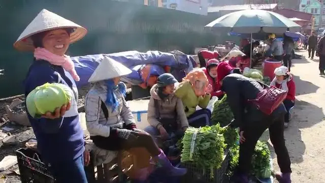 ซาปา ปลายทางหิมาลัย, เวียดนามอนุมัติไต้หวันลงทุนอุตสาหกรรมเกษตรสมัยใหม่