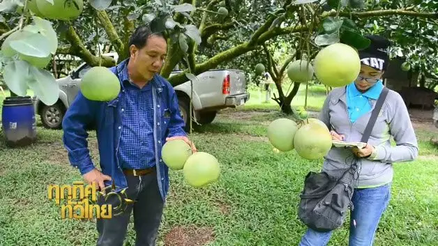 ประเด็นข่าว (23 ส.ค. 59)