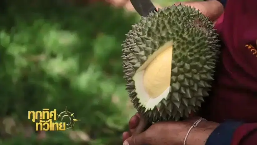 ประเด็นข่าว (24 ส.ค. 59)