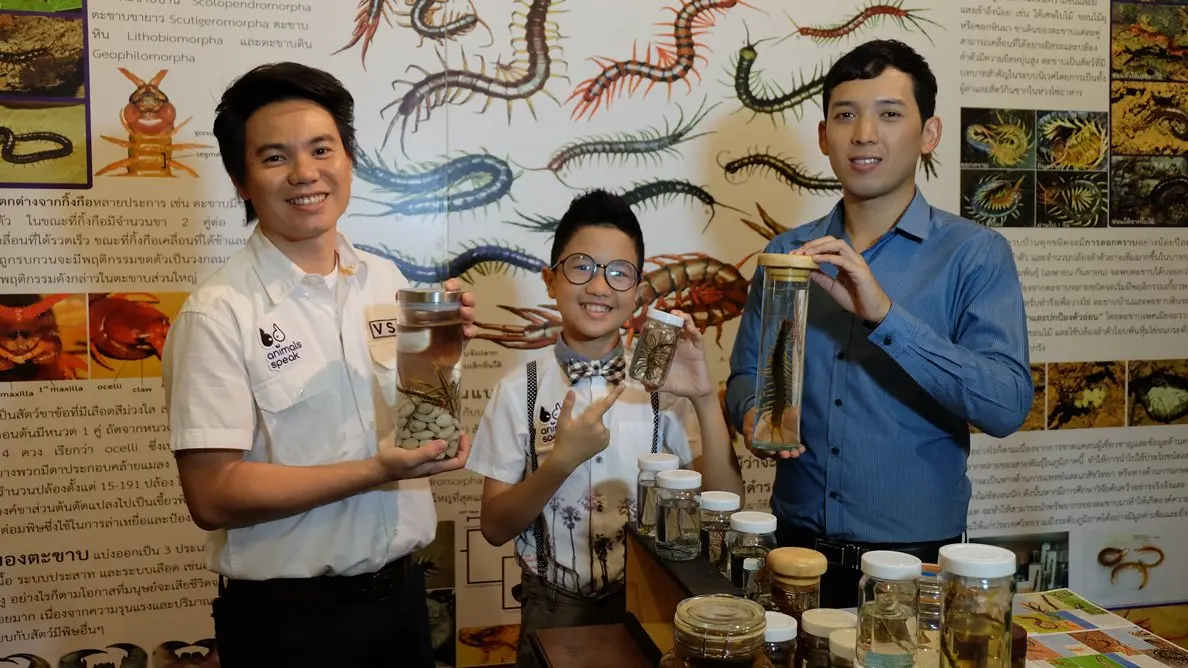 สัตว์มีพิษอันตรายใกล้บ้าน ตอน 2