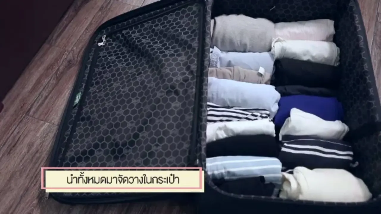 เทคนิคการจัดกระเป๋า, กินบ๊วยเพื่อสุขภาพ, วิธียืดอายุน้องหมา