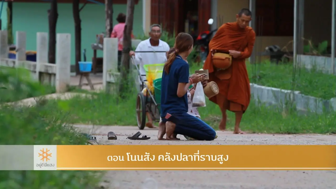 โนนสัง คลังปลาที่ราบสูง