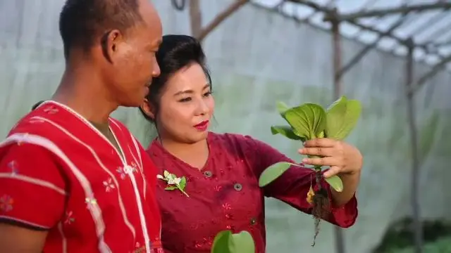 เชียงใหม่ลดโลกร้อน