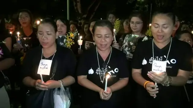 คนเมืองกาญจน์ร่วมแสดงความอาลัยที่ "ต้นไม้ของพ่อ"