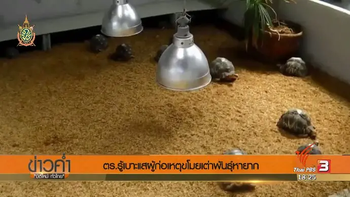 ประเด็นข่าว (7 มิ.ย. 59)