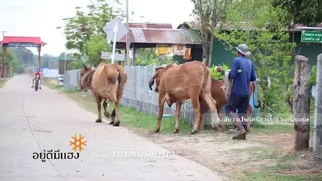 ​คนพันธุ์เสียว