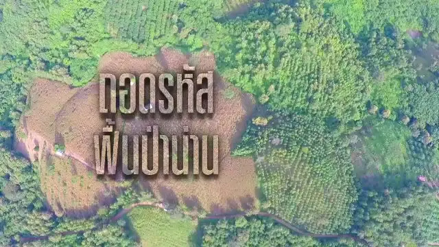 ถอดรหัส ฟื้นป่าน่าน