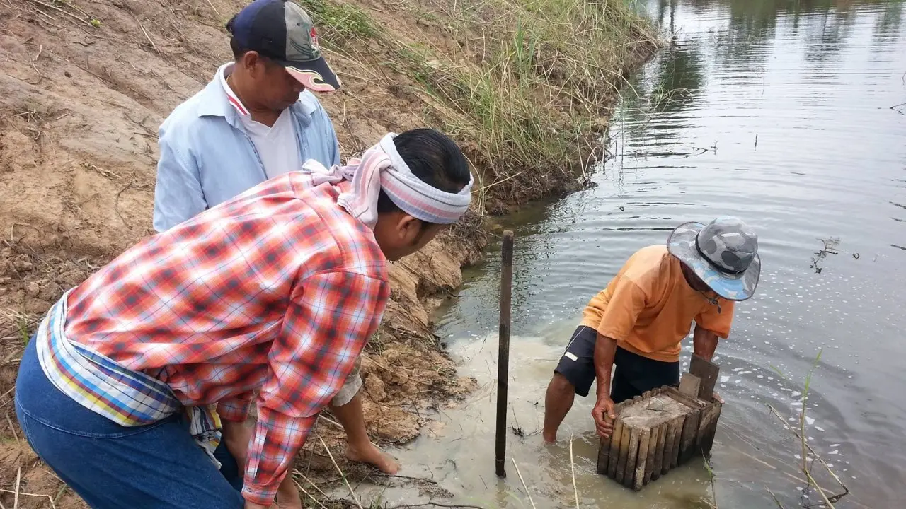 ประเด็นข่าว (22 มิ.ย. 59)