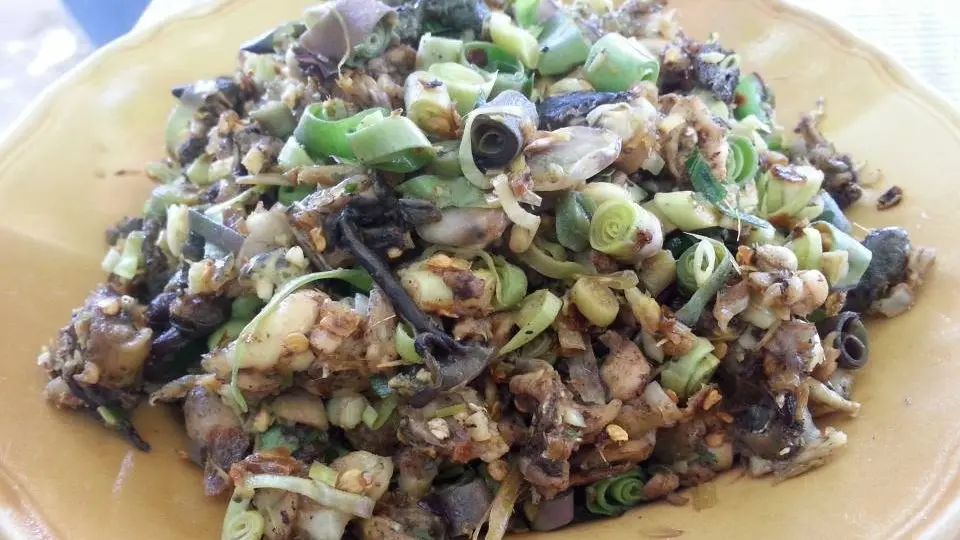 ประเด็นข่าว (23 มิ.ย. 59)