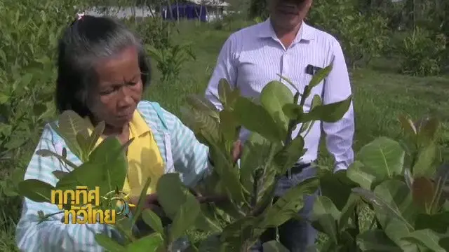 ประเด็นข่าว (11 ก.ค. 59)