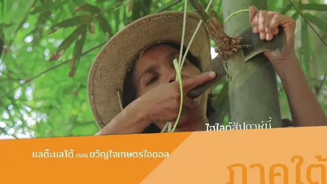 ขวัญใจเกษตรไอดอล