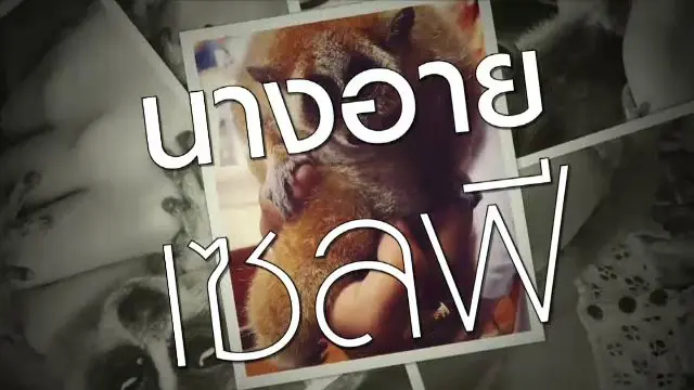 นางอายเซลฟี่
