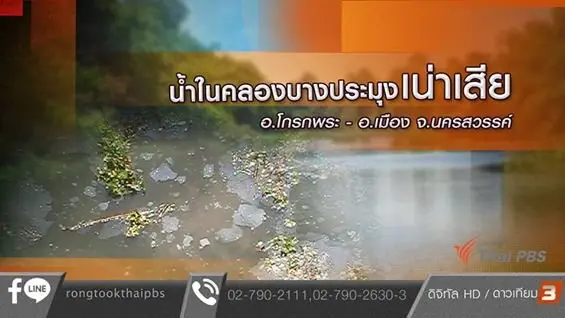 น้ำในคลองบางประมุงเน่าเสีย อ.โกรกพระ - อ.เมือง จ.นครสวรรค์
