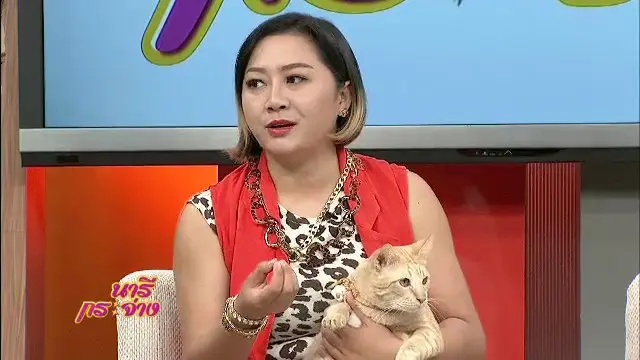 ครอบครัวแมวป่วน "ทูนหัวของบ่าว", หุงข้าวแฉะ แก้อย่างไรดี, สร้างสรรค์ลายผ้าด้วยแม่พิมพ์ไม้แกะสลัก