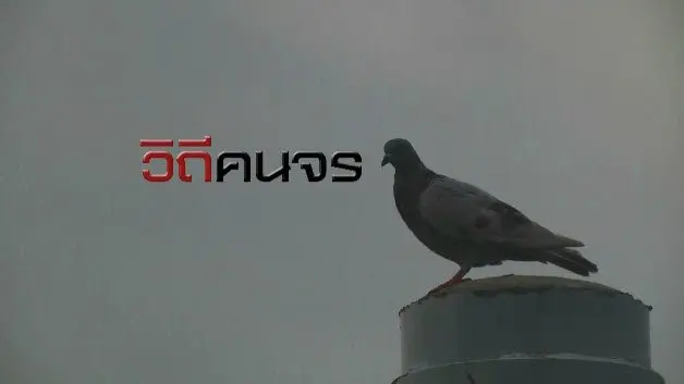 วิถีคนจร